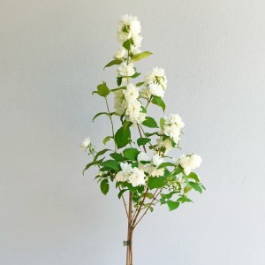 Jaśminowiec 'Minnesota Snowflake' na pniu (Philadelphus)